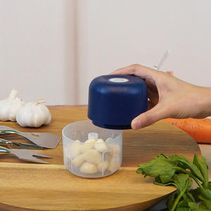 Mini-hachoir à ail électrique, boîtier en plastique, 280W, pour la cuisine domestique et la préparation de la nourriture pour bébés - Product Image 4