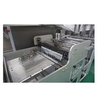 Machine de remplissage et d'emballage de sachets Doypack horizontaux pour arachides