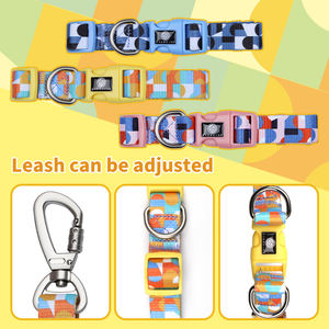 犬のトレーニングリーシュ犬の首輪卸売軽量中小犬高品質ペット用品 - Product Image 5