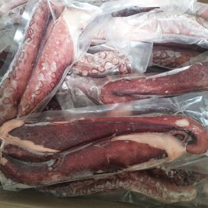 Productos de mariscos de calidad, producto para la salud, <span class=keywords><strong>pulpo</strong></span> hervido, pierna larga - Product Image 5