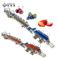 Ligne de lavage automatique personnalisée Simplot pour fruits et légumes, machine de nettoyage à bulles d'air pour fraises, myrtilles, cerises
