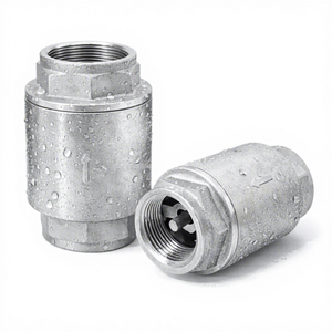 Válvula de Retención de Acero Inoxidable con Rosca NPT, Tipo Resorte, 1 Pulgada, Prevención de Reflujo, PN16, Sellado de PTFE para Tuberías de Agua Industriales - Product Image 1