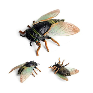 शैक्षिक सीखने के खिलौने बग खिलौने लाशें वास्तविक कीट के आंकड़े बच्चों के लिए तैयार प्लास्टिक बग मॉडल - Product Image 3