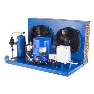 Aidear Factory 3hp 5hp 6hp 10hp germania unità di condensazione del compressore raffreddata ad aria per la refrigerazione del sistema di raffreddamento