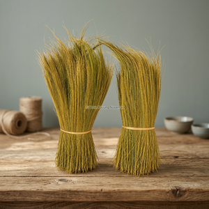 Brosse en herbe naturelle, poils moyens, écologique, durable, pour nettoyage extérieur, style basique, 10-19 pouces - Product Image 3