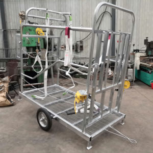 Chute de sabot de bétail Chute de coupe de sabot de bétail Machine de chute de coupe de sabot de bétail Électrique robuste pour les animaux de la ferme - Product Image 1