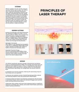 Máquina de Endolifting en Oferta, 3 Longitudes de Onda para Lifting Facial, Lipólisis, Eliminación de Grasa y Eliminación de Arañas Vasculares, Certificación CE - Product Image 2