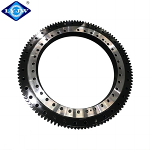 Aksesoris Crane Luoyang Slewing Bearing Slewing Bearing Turntable Bearing Tower Crane Gear <span class=keywords><strong>Ring</strong></span> EBL.20.1094.200-1STPN untuk Dijual - Product Image 3
