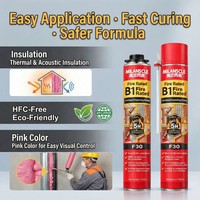 Mousse ignifuge PU F30, mousse expansive ignifuge pour portes, fenêtres et traversées de tuyaux