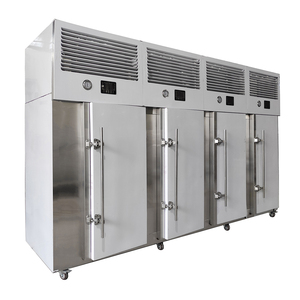 Máquina IQF de congelación rápida de alimentos, refrigerador Industrial criogénico instantáneo de 500kg, para carne y pescado - Product Image 2