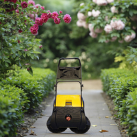 Mini balayeuse de sol manuelle Magic Walk-Behind New Condition Manual Sweeper Poussée