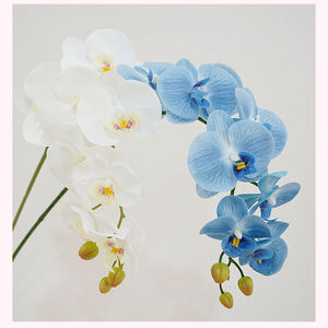 <span class=keywords><strong>Haut</strong></span> <span class=keywords><strong>de</strong></span> <span class=keywords><strong>gamme</strong></span> 9 têtes réalistes tactile Phalaenopsis papillon <span class=keywords><strong>orchidée</strong></span> Morandi couleurs orchidées artificielles pour mariage saint valentin - Product Image 2
