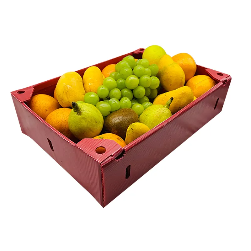 Emballage personnalisé de fruits/légumes Boîte en plastique ondulé Boîtes d'emballage en PP de stockage ondulé pour fruits et légumes