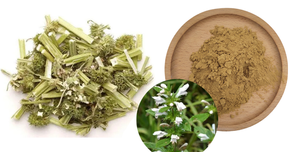 Extrait de moût de mère chinoise Herba <span class=keywords><strong>Leonurus</strong></span> <span class=keywords><strong>Cardiaca</strong></span> Herba Leonuri - Product Image 2