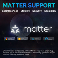 Prise intelligente SLS Matter US 15A avec moniteur de puissance, compatible Alexa, Google Assistant, HomeKit, pour l'automatisation de la maison intelligente