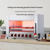Gril-salamandre professionnel à gaz 10 brûleurs, infrarouge, robuste, en acier inoxydable, pour la fonte de fromage, pour restaurant
