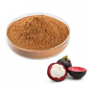 Factory Supply Top Selling Organic Mangosteen Dried Powder Pure Natural Fruit Extract