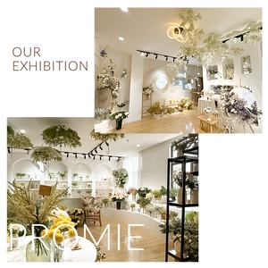 Niedriger Preis wild verwendet dekorative getrocknete Blumen Großhandel uk Mini echte winzige natürliche Knopf blume getrocknete Blumen für die Dekoration - Product Image 2