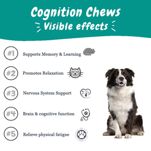 Complément alimentaire aux champignons Muyue pour chiens et chats, marque privée, champignons Crinière de lion et Queue de dinde, à mâcher, pour la cognition et la santé immunitaire - Product Image 2