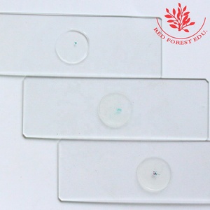 Diapositivas preparadas para la ciencia médica, un juego de 17 tipos de toboganes de algas, diferentes tipos de algas de secciones, toboganes preparados de Botánica de algas - Product Image 4