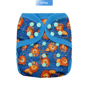 Pannolini Lavabili EezKoala per Bambini Molto Bagnanti, Tutto in Uno con Inserto Rimovibile in Canapa, Ecologici per la <span class=keywords><strong>Notte</strong></span> - Product Image 2