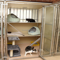 Grande maison pour chat de luxe avec toit étanche et plates-formes intérieur/extérieur Cat Catio griffoir en métal pour plusieurs chats