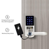 Serrure de porte intelligente biométrique numérique haute sécurité, anti-eau, avec pavé tactile, poignée de porte intelligente, serrure à empreintes digitales pour maison