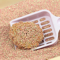 Litière pour chat en bentonite certifiée BSCI, nouvelle formule, à base de sable minéral naturel à base de sodium, anti-odeur, agglomérante, pour les chaînes de supermarchés