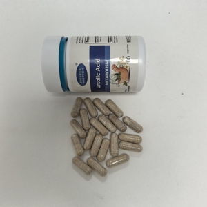 Cápsulas Veganas de Extracto de Albahaca Sagrada con Ácido Ursólico y Extracto de Tulsi - Product Image 3