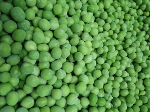 Fornitura di rinfuse IQF piselli di qualità Premium piselli verdi congelati vendita intera piselli congelati congelati per importatori - Product Image 3
