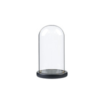 Vente en gros usine : Dôme en verre borosilicate pour fleurs stabilisées, boîte surprise lumineuse, couvercle anti-poussière, présentoir pour blocs de construction et objets artisanaux