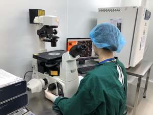 पोरसिन प्रकार i एटेलोकोलेजन और सोडियम हाइल्युरोनेट लयोफिलाइज्ड फाइबर त्वचा बूस्टर - Product Image 5