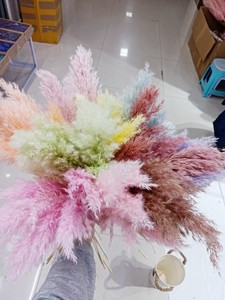 Centro de mesa de flores de boda inspirado en el estilo Ins Phragmites Communis Natural Small Reed Pampas Naturel Fluffy Dry Día de <span class=keywords><strong>la</strong></span> madre - Product Image 5