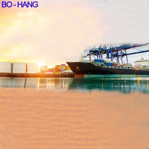 Nuovo Servizio Professionale Express: DDP, DDU, CIF, DHL, UPS, Fedex, Trasporto Marittimo/Aereo verso Singapore e Stati Uniti - Product Image 2