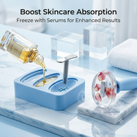 Glaçons en silicone de qualité alimentaire pour massage facial, outil de cryothérapie réutilisable, plateau à glaçons pour le visage, OEM ODM