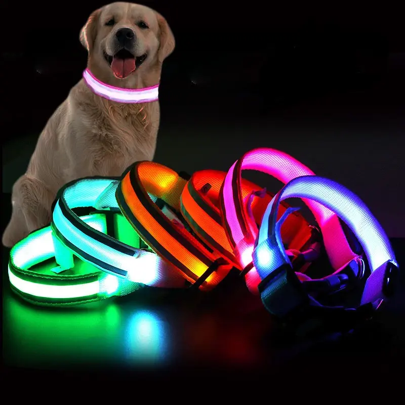 Il Best-seller Usb ricaricabile Pet Flash con luce di sicurezza luminosa in Nylon collare per cani in metallo Led