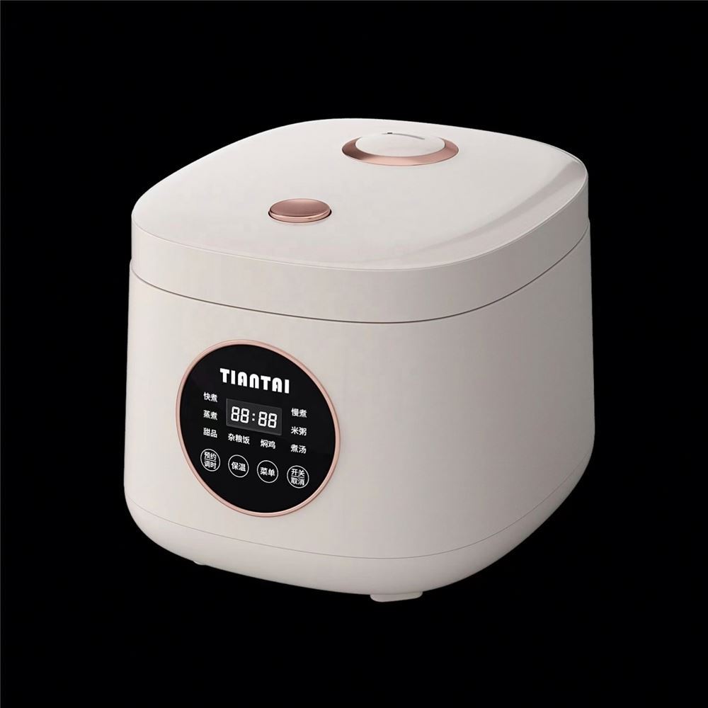 Ceramic Electron 2L Mini Electric Rice Cooker Multi-Purpose Home Appliance with Measuring Cup for Household Use