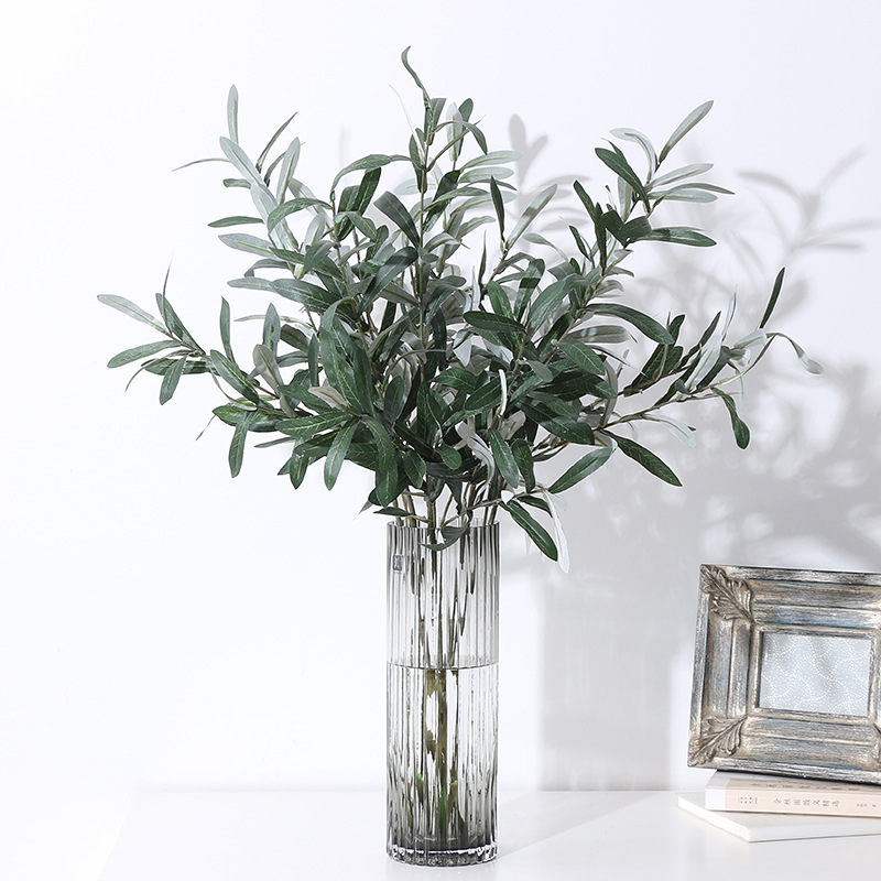 hecken thuja kaufen Thuja Smaragd kaufen