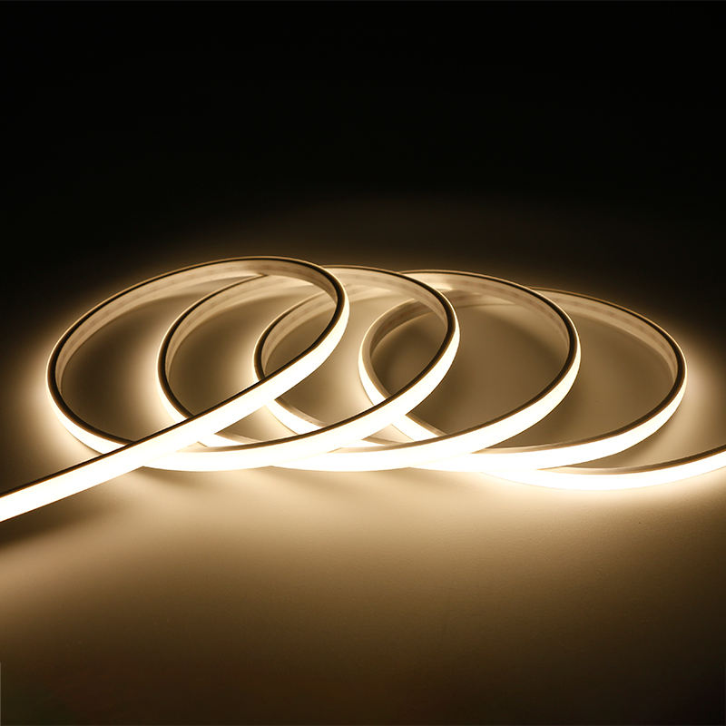 工厂批发12V-24V COB 480LED灯具 - Factory Wholesale 12V-24V COB 480LED Light