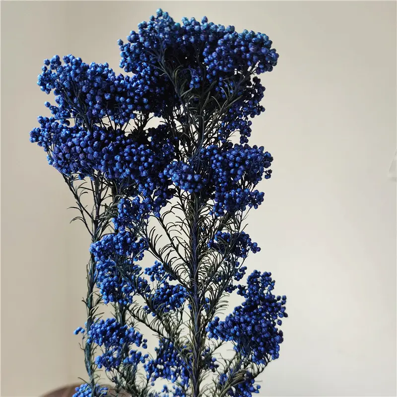 윈난 DIY 보존 된 꽃 쌀 꽃 Ozothamnus 웨딩 테이블을위한 꽃 중심 조각