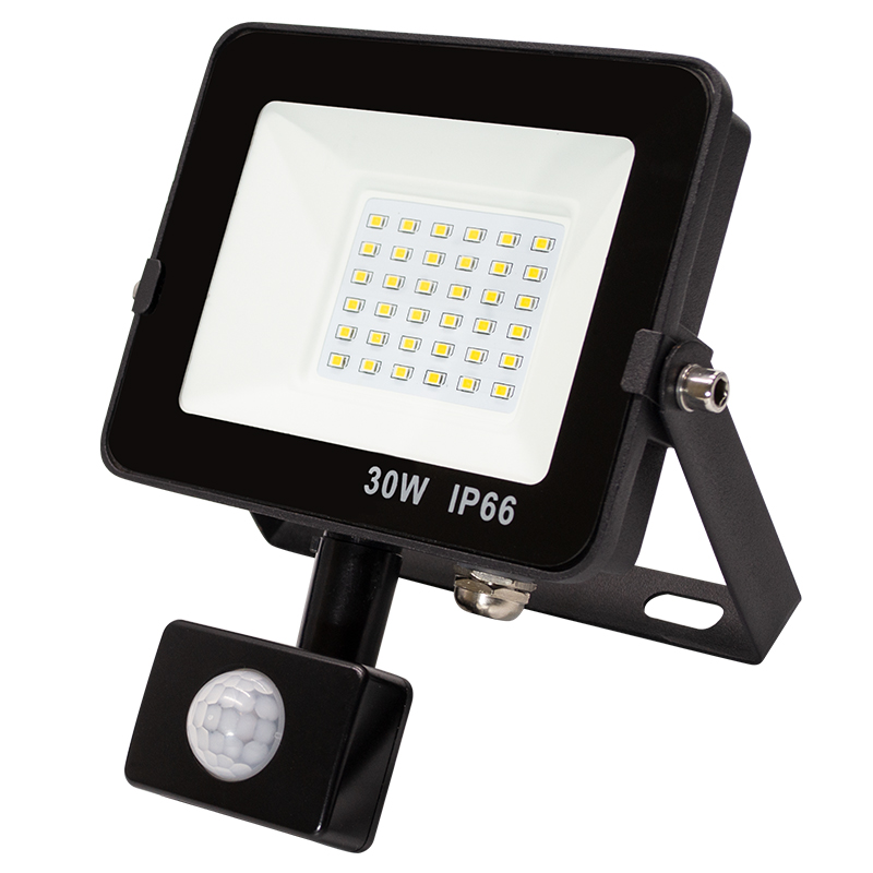 motion Sensor