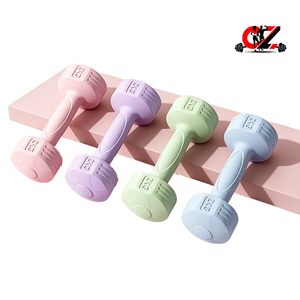 Haltères hexagonaux CZFIT G003 personnalisables en couleur et style, 1-10 kg, remplis de ciment et de sable, revêtement PE coloré, imperméables, unisexes, vente en gros - Product Image 1