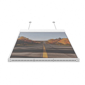 Insovision 49' Waterproof Indoor LCD <b>Display</b> 1980x1020 Resolution SDK Enabled OEM Advertising Signage Airport Wayfinding 1 Year - Product Image 4