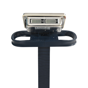 computing electronic <strong>indicator</strong> weights large <strong>scale</strong> <strong>tcs</strong> 100 300 by hualitai - Product Image 5