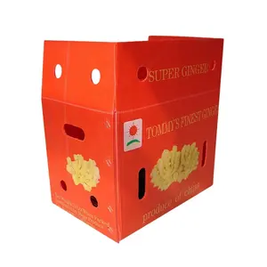 Multi-color Printing PP Corrugated Corflute Coroplast Plastic Box Polionda Apple Fruit Packaging Storage Boxes
