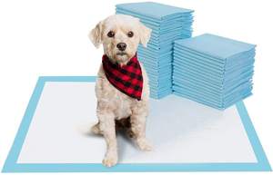 Factory Direct Wholesale Puppy Pee Pads Dog <b>Training</b> Pad Pet Bamboo Charcoal Urine Pads - Product Image 3