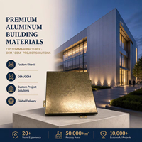 2026 Inno OEM Panneaux de façade en aluminium perforé sur mesure pour éclairage extérieur, revêtement mural LED pour DJ et habillage de bâtiment