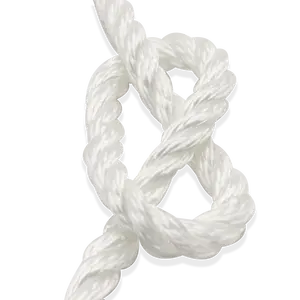 economic package nylon 4mm 6mm 10mm 24mm solid braid nylon rope white or custom colors