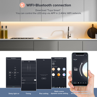 Bande lumineuse Led à haute densité, 640 diodes, bluetooth FCOB, CCT, blanc, réglage, avec application bluetooth, vocal, Tuya, wi-fi, couleur bleue, réglable, blanc