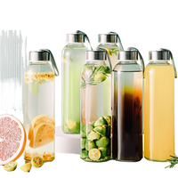 Couverture en acier inoxydable avec poignée et tasse en verre borosilicate de haute qualité, idéale pour les jus, le thé, les infusions de fruits, l'eau, etc.